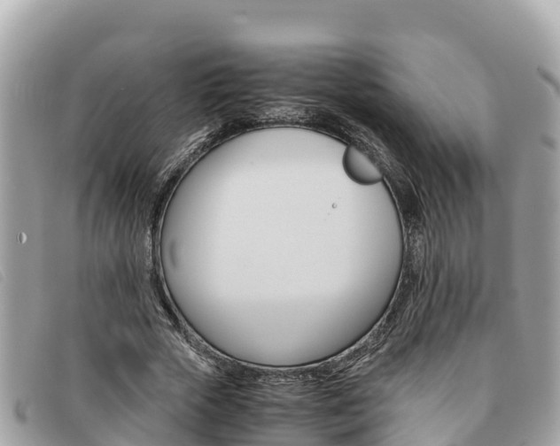 X0000091540729200708171009