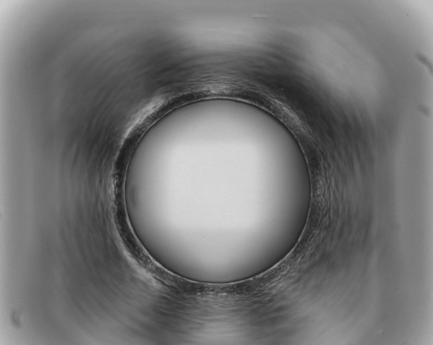 X0000091540730200708171009