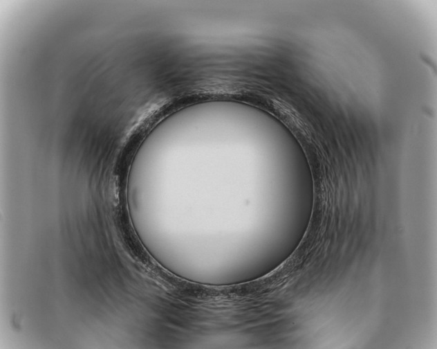 X0000091540731200708171009