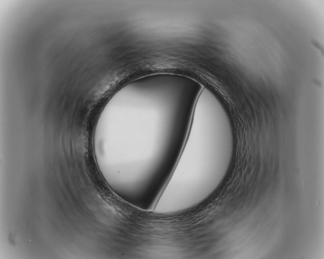 X0000091540732200708171009