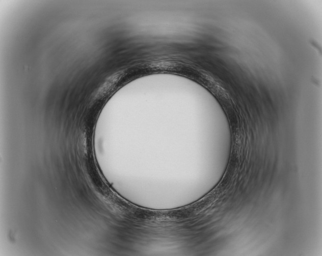 X0000091540734200708171009
