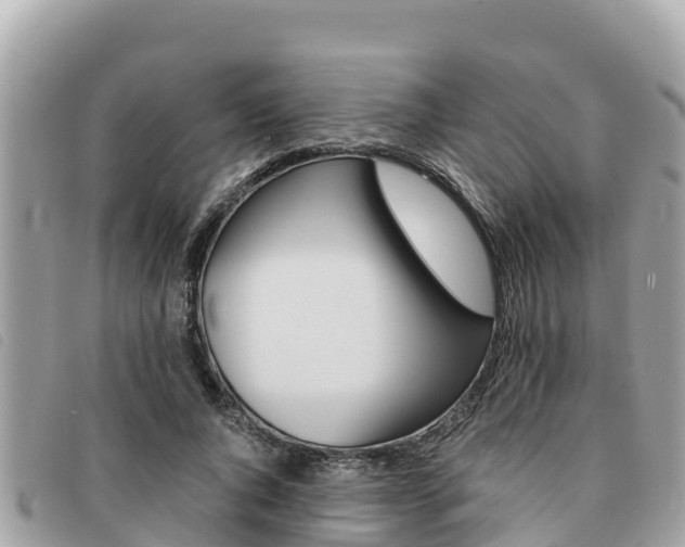 X0000091540736200708171010