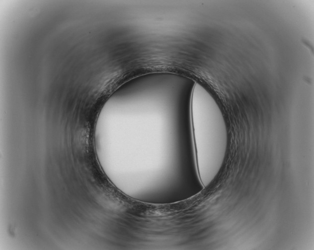 X0000091540739200708171010