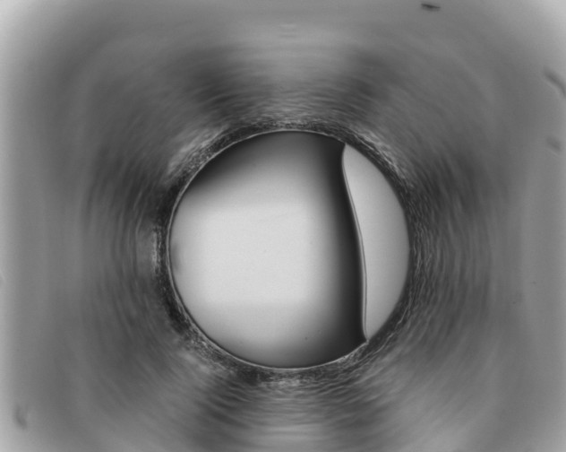 X0000091540740200708171010