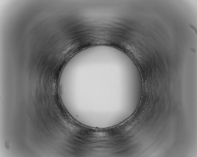 X0000091540741200708171010