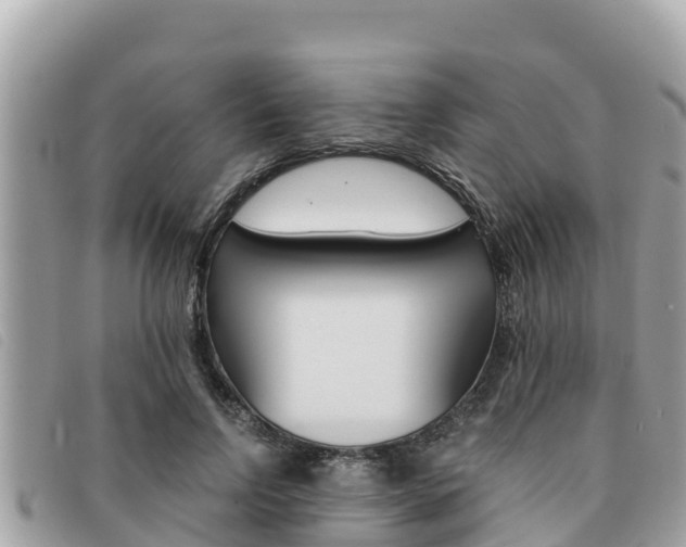 X0000091540742200708171010