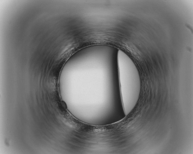 X0000091540744200708171010