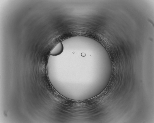 X0000091540745200708171010