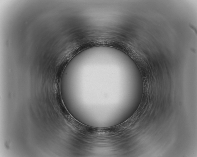 X0000091540746200708171010