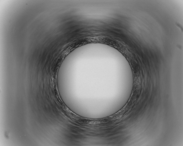 X0000091540749200708171010