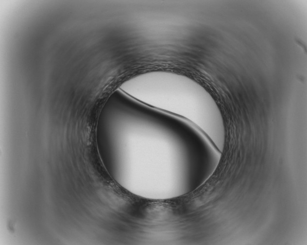 X0000091540750200708171010