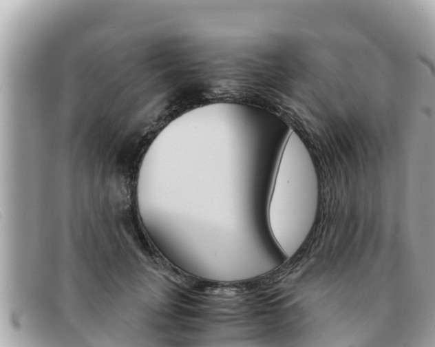 X0000091540751200708171010