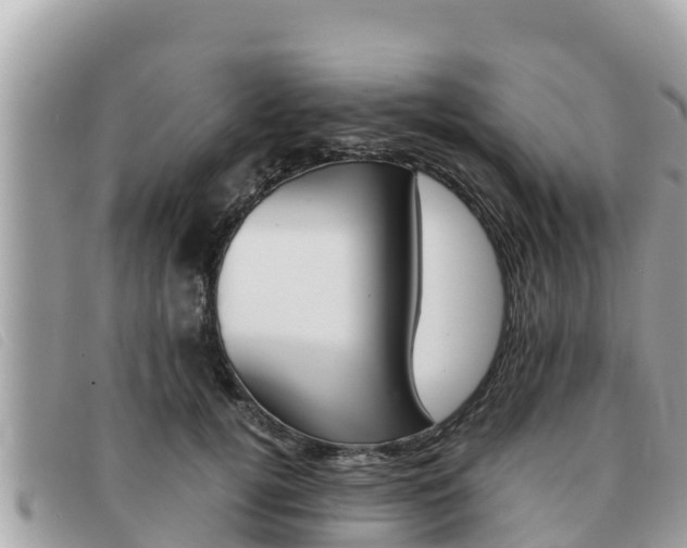X0000091540752200708171010