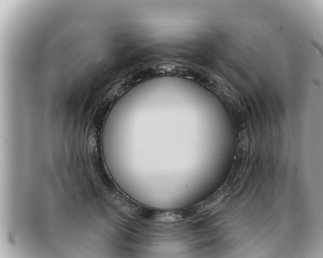 X0000091540754200708171010