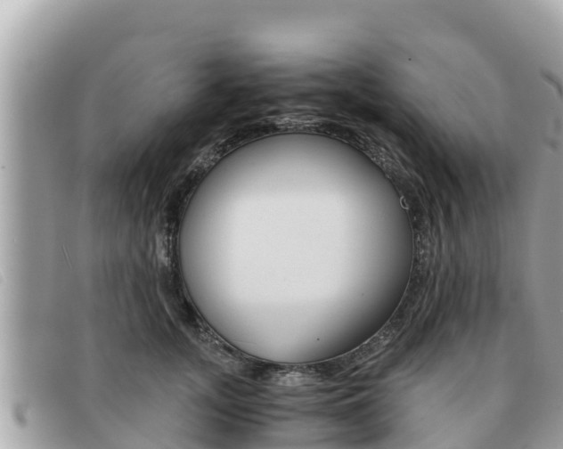 X0000091540755200708171010