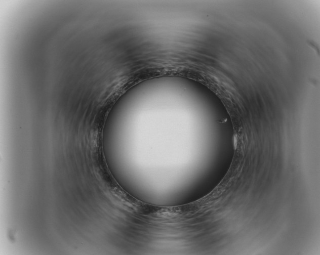 X0000091540756200708171010