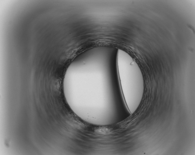 X0000091540759200708171010