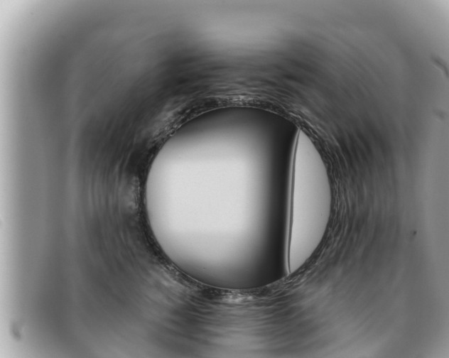 X0000091540760200708171010