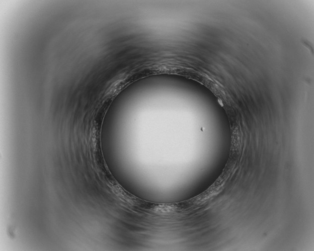 X0000091540762200708171010
