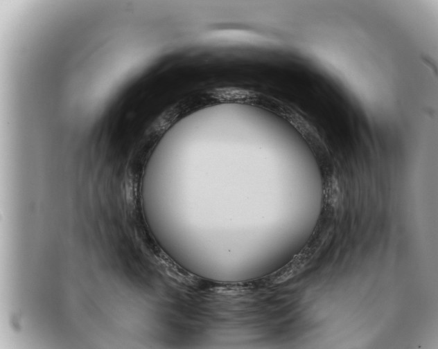 X0000091540763200708171010