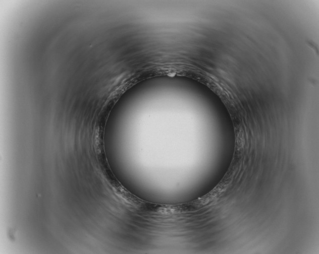 X0000091540764200708171010