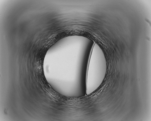 X0000091540771200708171009