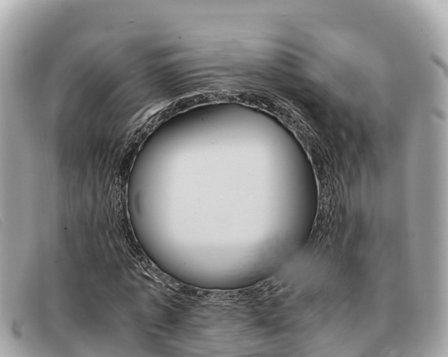 X0000091540773200708171009