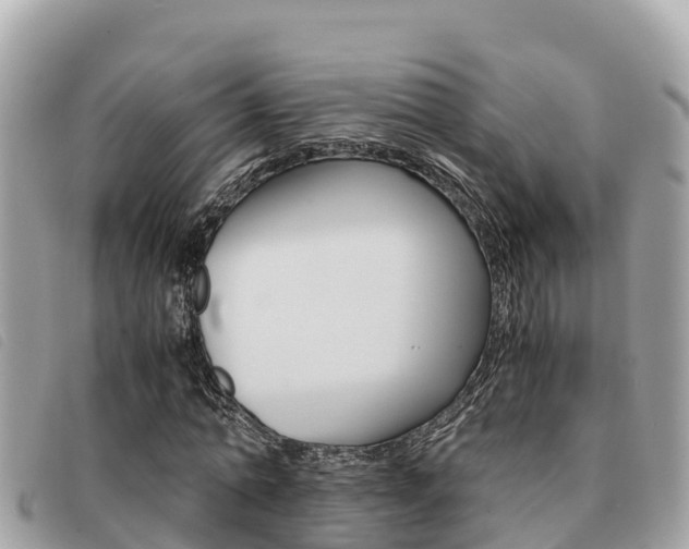 X0000091540774200708171009