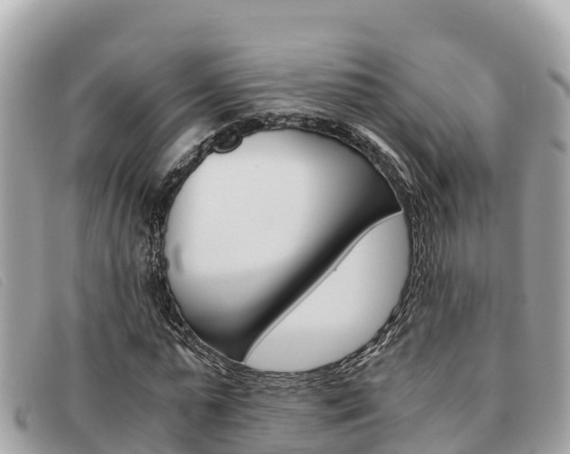 X0000091540775200708171009