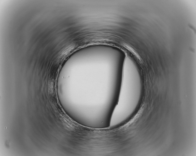 X0000091540777200708171009