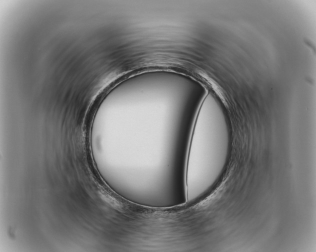 X0000091540779200708171009