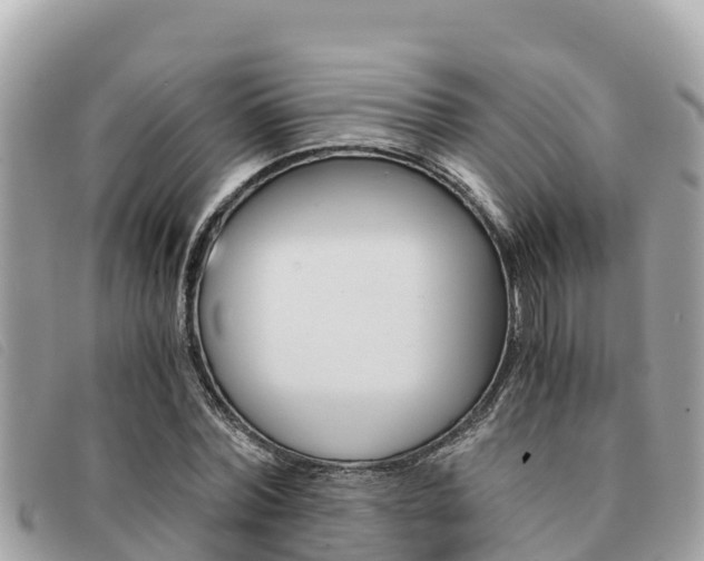 X0000091540780200708171009