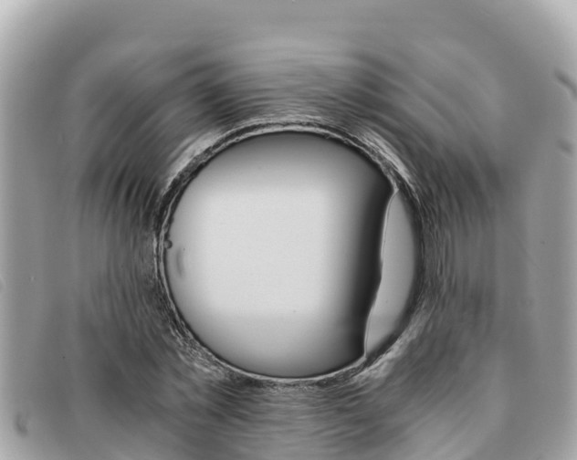 X0000091540781200708171009