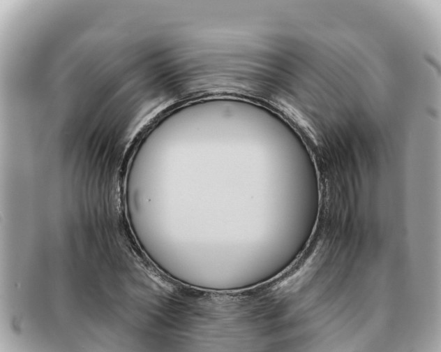 X0000091540782200708171009