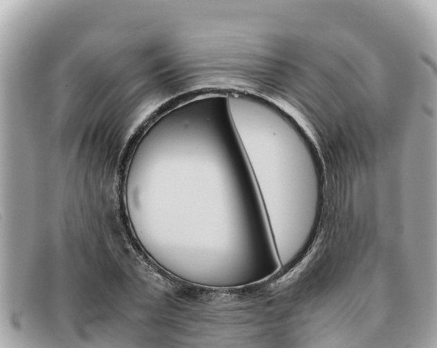 X0000091540783200708171009