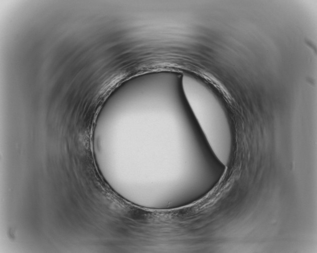 X0000091540785200708171009