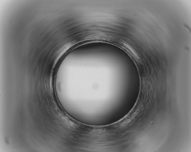 X0000091540788200708171009