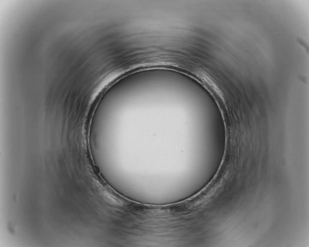 X0000091540789200708171009
