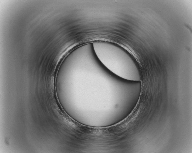 X0000091540790200708171009