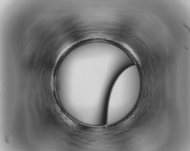 X0000091540791200708171009
