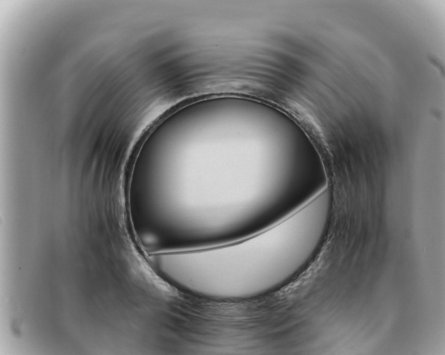 X0000091540792200708171009