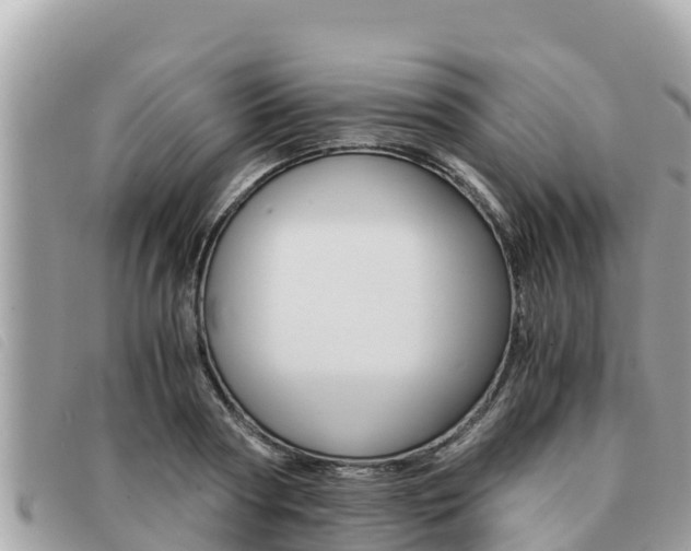 X0000091540794200708171009