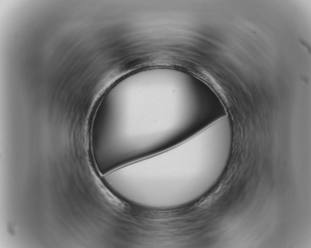 X0000091540795200708171009
