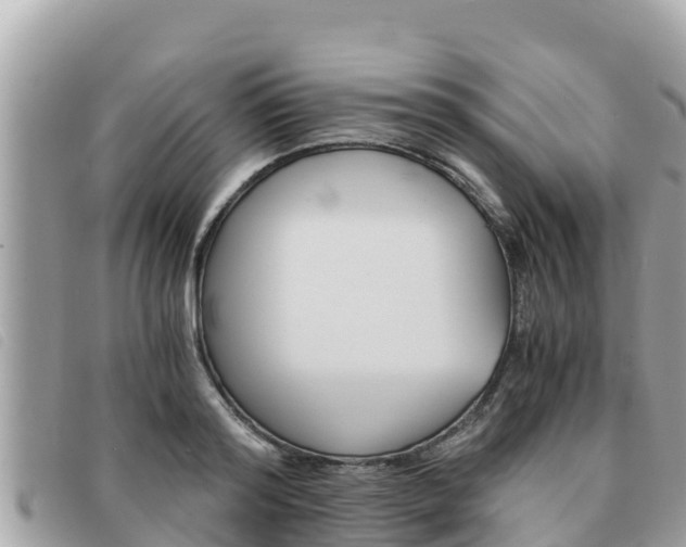 X0000091540796200708171009