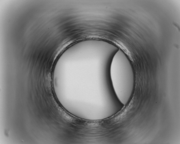 X0000091540798200708171009