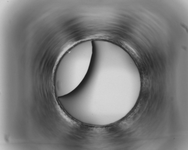 X0000091540800200708171009