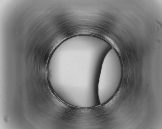 X0000091540802200708171009