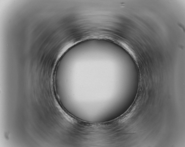 X0000091540803200708171009