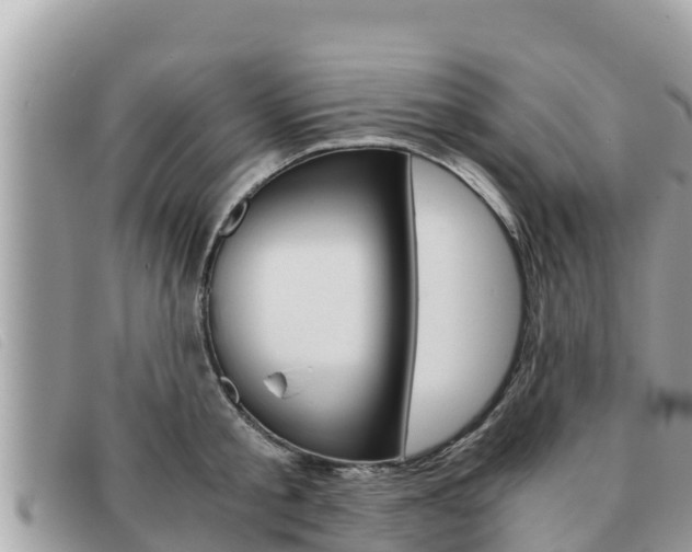 X0000091540805200708171009