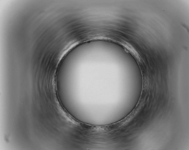 X0000091540806200708171009